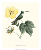 Framed Hummingbird & Bloom I