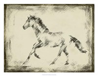 Framed Equine Study II