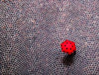 Framed Urban Ladybug