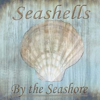 Framed 'Seashells by the Seashore II' border=