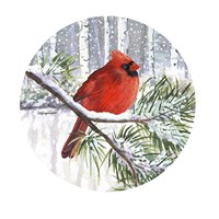 Framed 'Winter Wonder Male Cardinal' border=