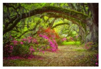 Framed Magnolia Gardens