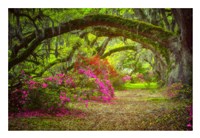 Framed Magnolia Gardens