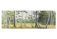 Framed Birch Field