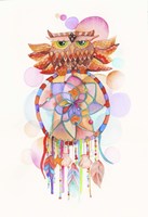 Framed Watercolor Owl Dream Catcher