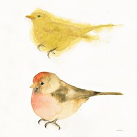 Framed 'Watercolor Birds I Sq' border=