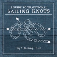 Framed Vintage Sailing Knots VIII