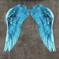 Framed Angel Wings V