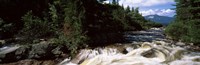 Framed Stream flowing through a Forest, Little Niagara Falls, Maine