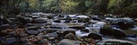 Framed Rocks in a River, Great Smoky Mountains National Park, Tennessee