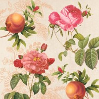 Framed 'Pomegranates and Roses on Cream I' border=