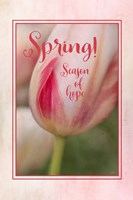 Framed Spring Season of Hope