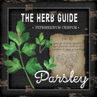 Framed Herb Guide Parsley