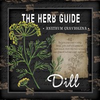 Framed 'Herb Guide Dill' border=