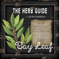 Framed 'Herb Guide Bay Leaf' border=