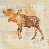 Framed Moose Study