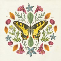Framed 'Butterfly Mandala III' border=