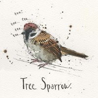 Framed 'Tree Sparrow' border=