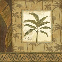 Framed 'Palmier Tropical I' border=