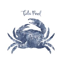 Framed 'Tide Pool Crab' border=