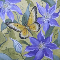 Framed 'Large Butterfly and Clematis' border=