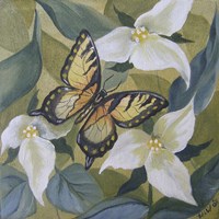 Framed 'Large Butterfly and Trillium' border=