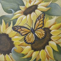 Framed 'Large Butterfly and Sunflower' border=