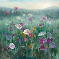 Framed Cosmos at Dawn