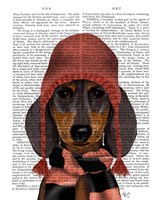 Framed Dachshund in Pink Hat and Scarf