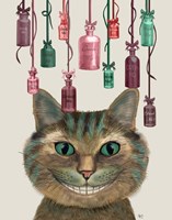 Framed Cheshire Cat and Bottles