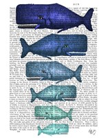 Framed Blue Whale Family