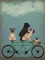 Framed Pug Tandem