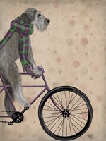 Framed Schnauzer on Bicycle, Grey