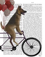 Framed German Shepherd on Bicycle