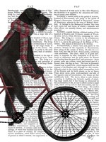 Framed Schnauzer on Bicycle, Black
