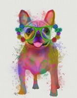 Framed Rainbow Splash French Bulldog, Full