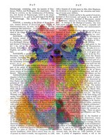 Framed Rainbow Splash Pomeranian