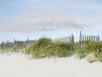 Framed Beachscape IV