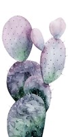 Framed Purple Cactus I
