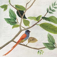Framed Singing Bird II