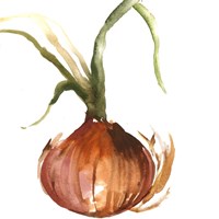 Framed 'Onion' border=