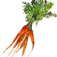 Framed 'Carrot' border=