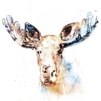 Framed Watercolour Moose
