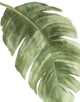 Framed Palm Green II