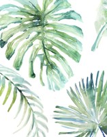 Framed Palm Leaf Variation