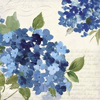 Framed 'Hampton Hydrangea I' border=