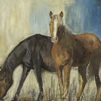 Framed Horses II