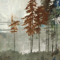 Framed Spruce Woods II