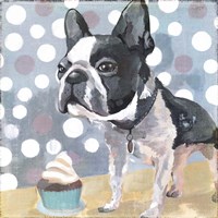 Framed Pug Birthday