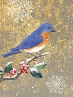 Framed Winter Birds Bluebird Color